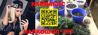каннабис Гусиноозёрск
