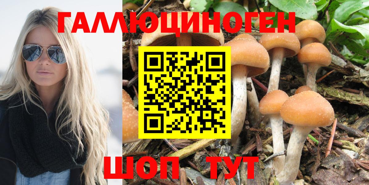 Псилоцибиновые грибы MAGIC MUSHROOMS Новосибирск