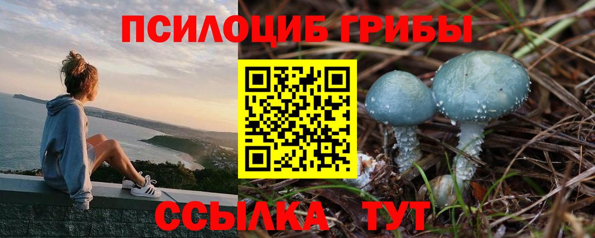 Новосибирск  Галлюциногенные грибы Cubensis  Вход с VPN 